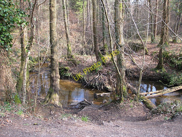 Photo 6"x4" Blackpool Brook Cannop c2009
