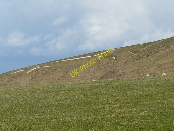 Photo 6"x4" The White Horse Woolstone\/SU2987 c2009