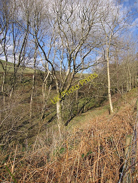 Photo 6"x4" Pen Cwm Ffrydlan Ceinws c2009