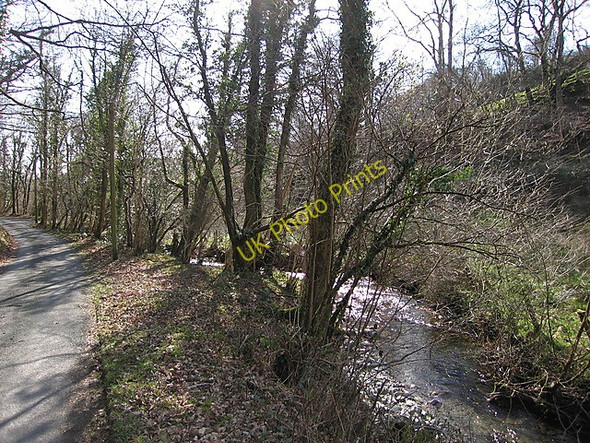 Photo 6"x4" Nant Ffrydlan Llanwrin c2009