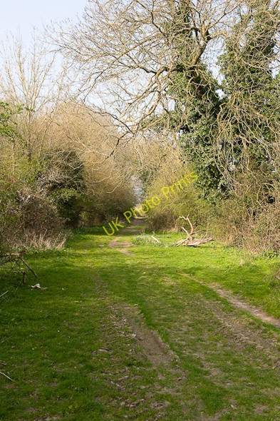 Photo 6"x4" Footpath parallel to railway line Compton\/SU4625 c2009