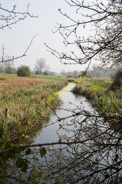 Photo 6"x4" Water meadows near Compton Compton\/SU4625 c2009