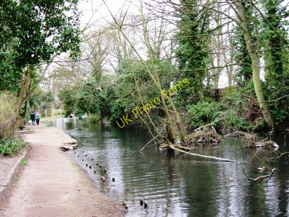 Photo 6"x4" Wendover Arm: Fallen Tree in the Canal Wendover c2009