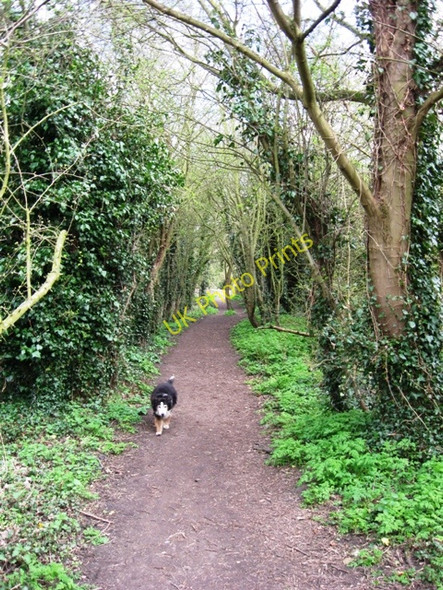 Photo 6"x4" Halton Railway \u00e2\u0080\u0093 The Footpath West of the Canal Wendover c2009