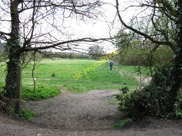 Photo 6"x4" Halton Railway \u00e2\u0080\u0093 An informal footpath crosses the track \u00e2\u0080\u0093 looking South Wendover c2009