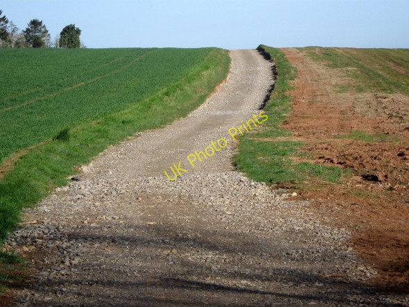 Photo 6"x4" Farm track onto Woodcock Downs Gothelney Green c2009