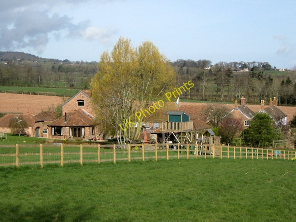 Photo 6"x4" Tuxwell Farm, Spaxton Lower Aisholt c2009