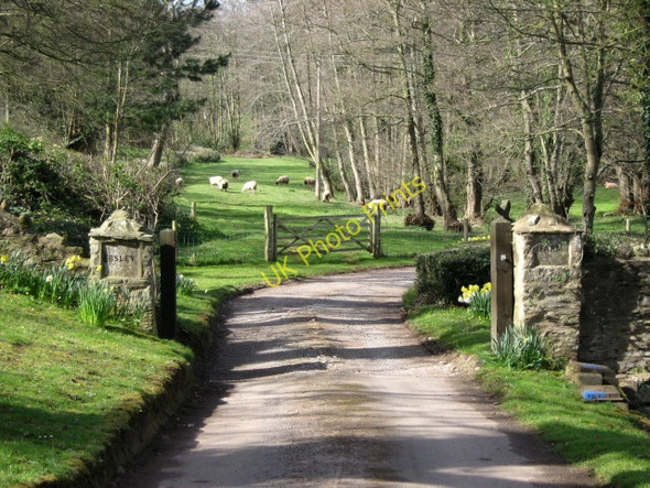 Photo 6"x4" Entrance to Ebsley Farm, Spaxton Lower Aisholt c2009