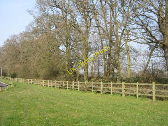 Photo 6"x4" The Park Pale Chineham c2009