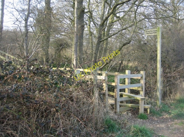 Photo 6"x4" Path to Great Binfields Chineham c2009
