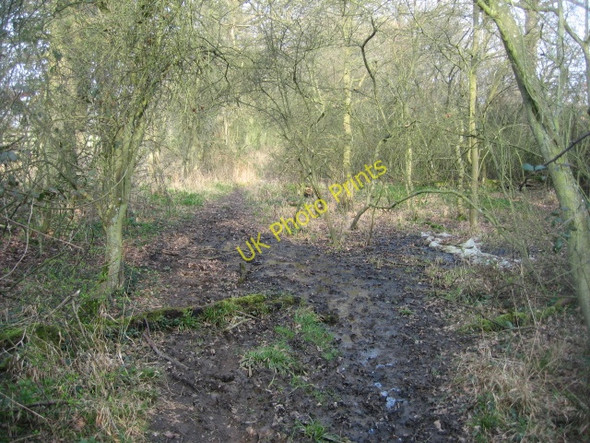 Photo 6"x4" An unclear footpath Church End\/SU6756 c2009