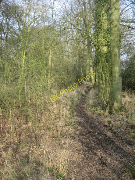 Photo 6"x4" Whitmarsh Lane Church End\/SU6756 c2009