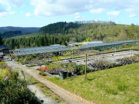 Photo 6"x4" View over Duchy Nurseries and the Fowey valley Lostwithiel c2009