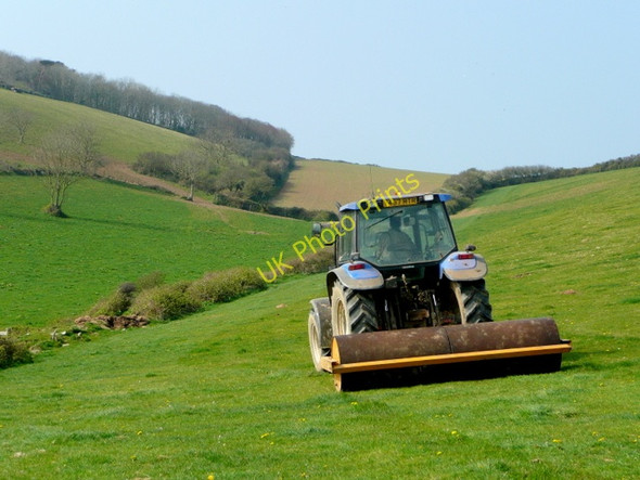 Photo 6"x4" Rolling the pasture Polkerris c2009
