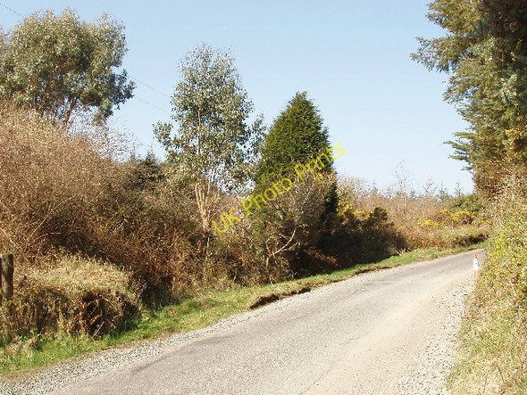 Photo 6"x4" Road from Fourth Commons to Forth Mountain Cleristown c2009