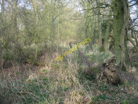 Photo 6"x4" Fallen tree Church End\/SU6756 c2009