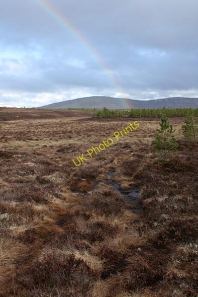Photo 6"x4" Track to Reeskie disappearing into bog Carn Bad a' Churaich c2009