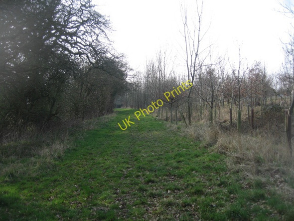 Photo 6"x4" Old and the new Church End\/SU6756 c2009