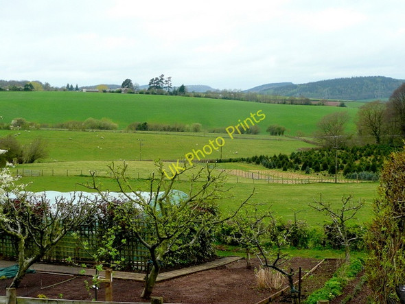 Photo 6"x4" View north-west from Lea Bailey Dancing Green c2009