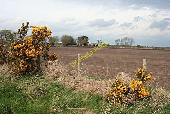 Photo 6"x4" Nether Birnie Paddockhaugh c2009