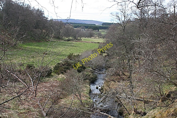 Photo 6"x4" Unnamed Glen Dallas c2009