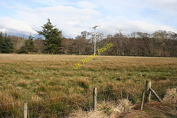 Photo 6"x4" Haugh near Craigroy Dallas c2009