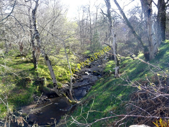 Photo 6"x4" Cassie Burn near Dalroy. Leanach\/NH7544 c2009