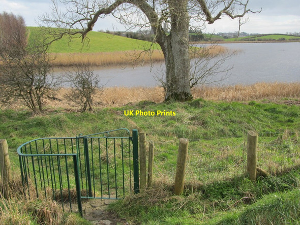 Photo 6"x4" Kissing gate below Inch Abbey leading to the banks of the Quoile River Downpatrick c2014