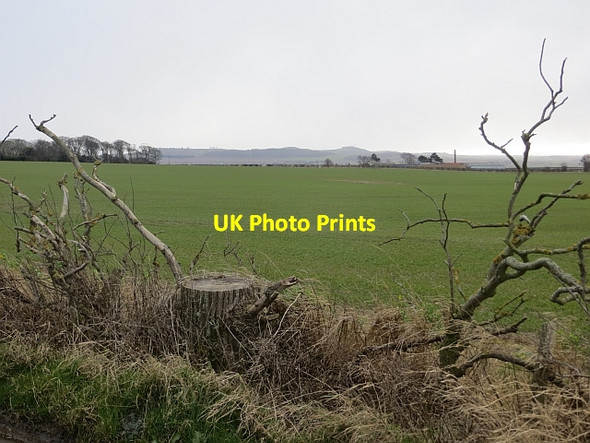 Photo 6"x4" Winter cereals, Kingston Kingston\/NT5482 c2014