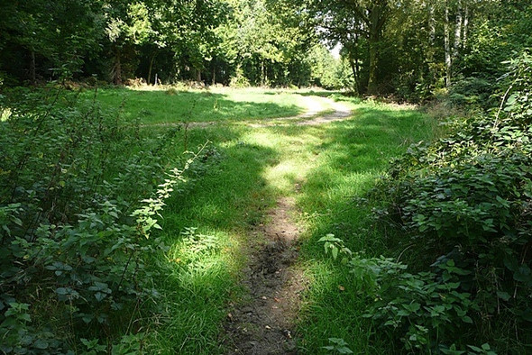 Photo 6"x4" Junction in Lye Wood Ashampstead c2008