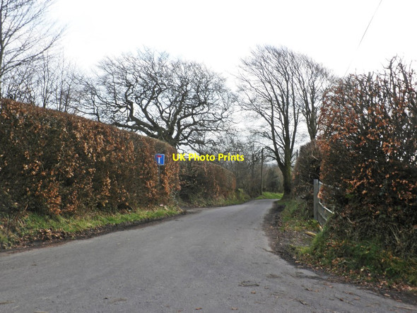 Photo 6"x4" Chilcott Lane Waddicombe c2014
