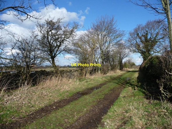 Photo 6"x4" Flask Lane Nosterfield c2014