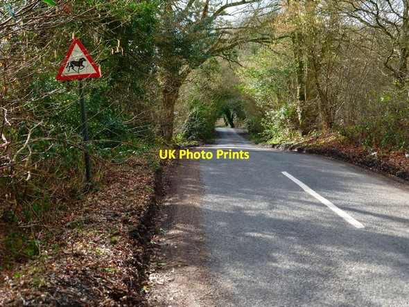 Photo 6"x4" Looking west on Tadpole Lane Ewshot c2014