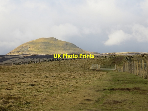 Photo 6"x4" New fence and gate, Lomond Hills Falkland c2014