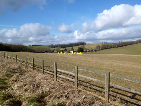 Photo 6"x4" Bailey Hill Farm Baydon c2014
