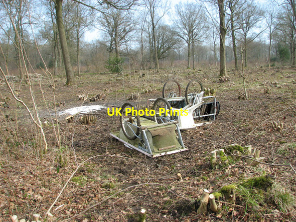Photo 6"x4" Coppicing in Lower Wood Ashwellthorpe c2014 P1