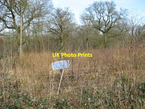 Photo 6"x4" Solar panel in Lower Wood Ashwellthorpe c2014