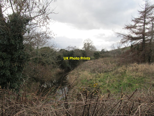 Photo 6"x4" Wetland on the north side of the Inch Abbey drumlin Downpatrick c2014