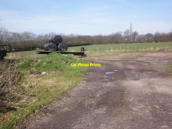 Photo 6"x4" View north, towards Wellington Monument Simonsburrow c2014