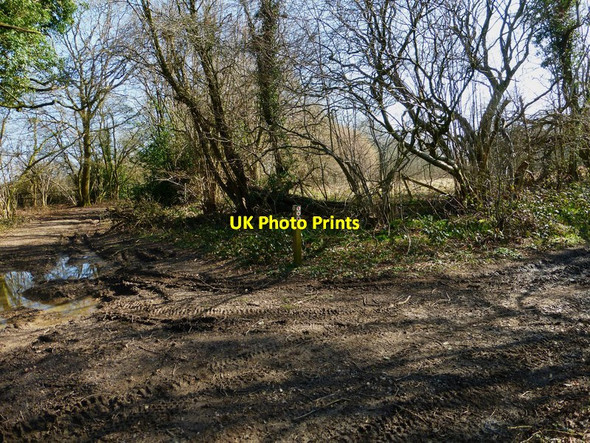 Photo 6"x4" Junction of byways near Four Marks and south of the A31 Soldridge c2014