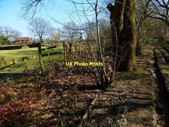 Photo 6"x4" House on Barn Lane seen from byway Soldridge c2014
