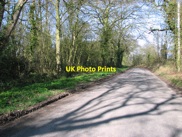 Photo 6"x4" View along St Margaret's Road Bungay c2014
