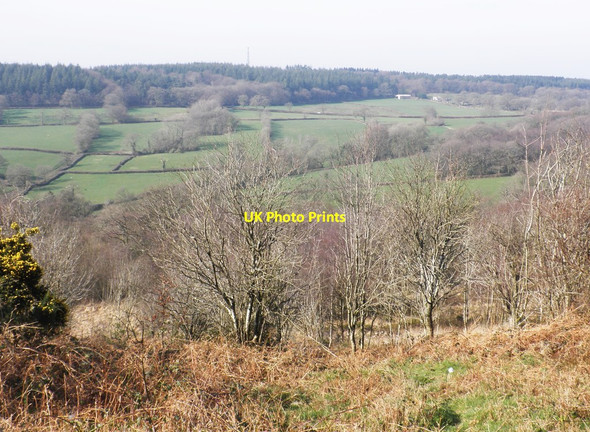 Photo 6"x4" View towards Sampford Common Simonsburrow c2014