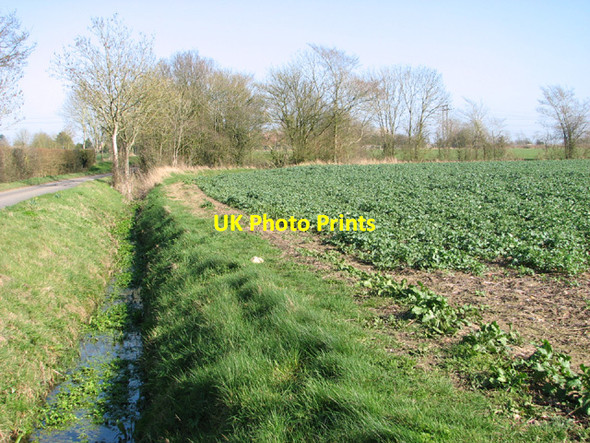 Photo 6"x4" Ditch beside oilseed rape crop field High Street\/TM3684 c2014
