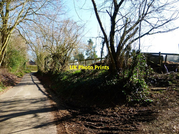 Photo 6"x4" Smugglers Lane looking east from footpath junction Monkwood\/SU6630 c2014