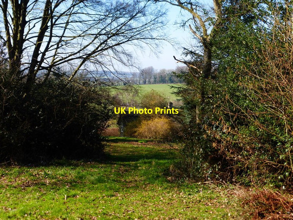 Photo 6"x4" Glimpse of house in wood on Petersfield Road Gilbert Street c2014