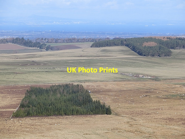 Photo 6"x4" Plantation beneath the Moorfoot Hills Middleton\/NT3657 c2014