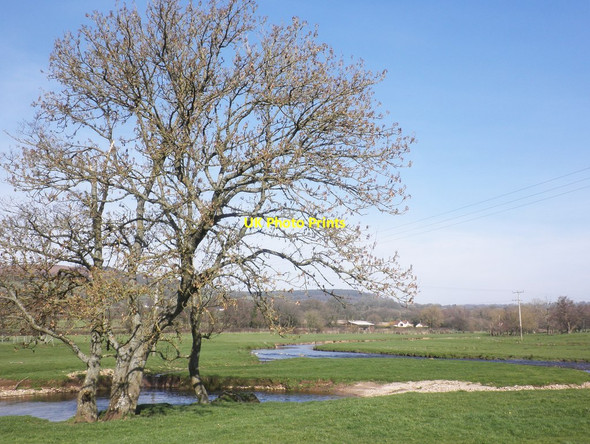 Photo 6"x4" Meandering River Culm Culmstock c2014