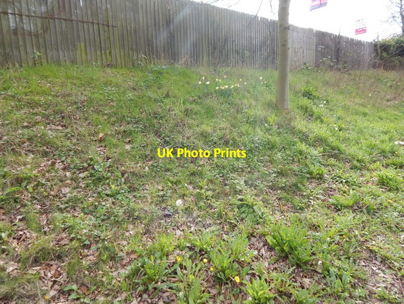 Photo 6"x4" Bank, London Road (A1214) Ipswich c2014