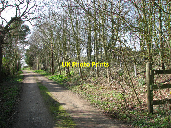 Photo 6"x4" Access road to Glebe Farm and adjoining cottages Gisleham c2014